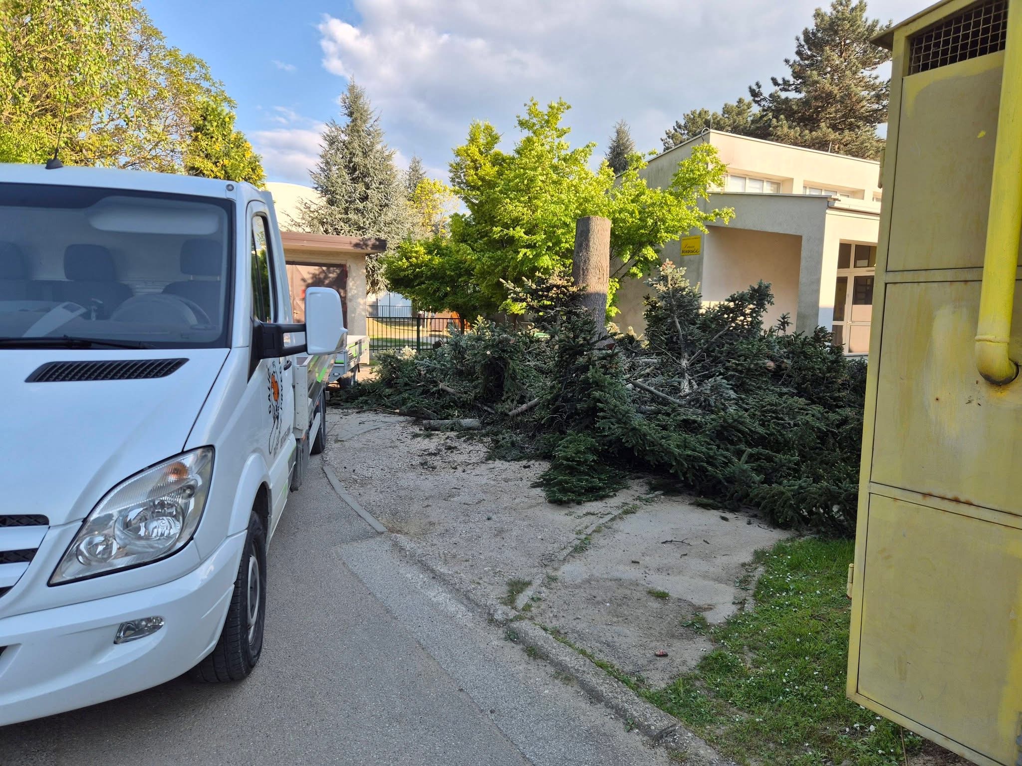 Rušenje drveća i uređenje — fotografija 4