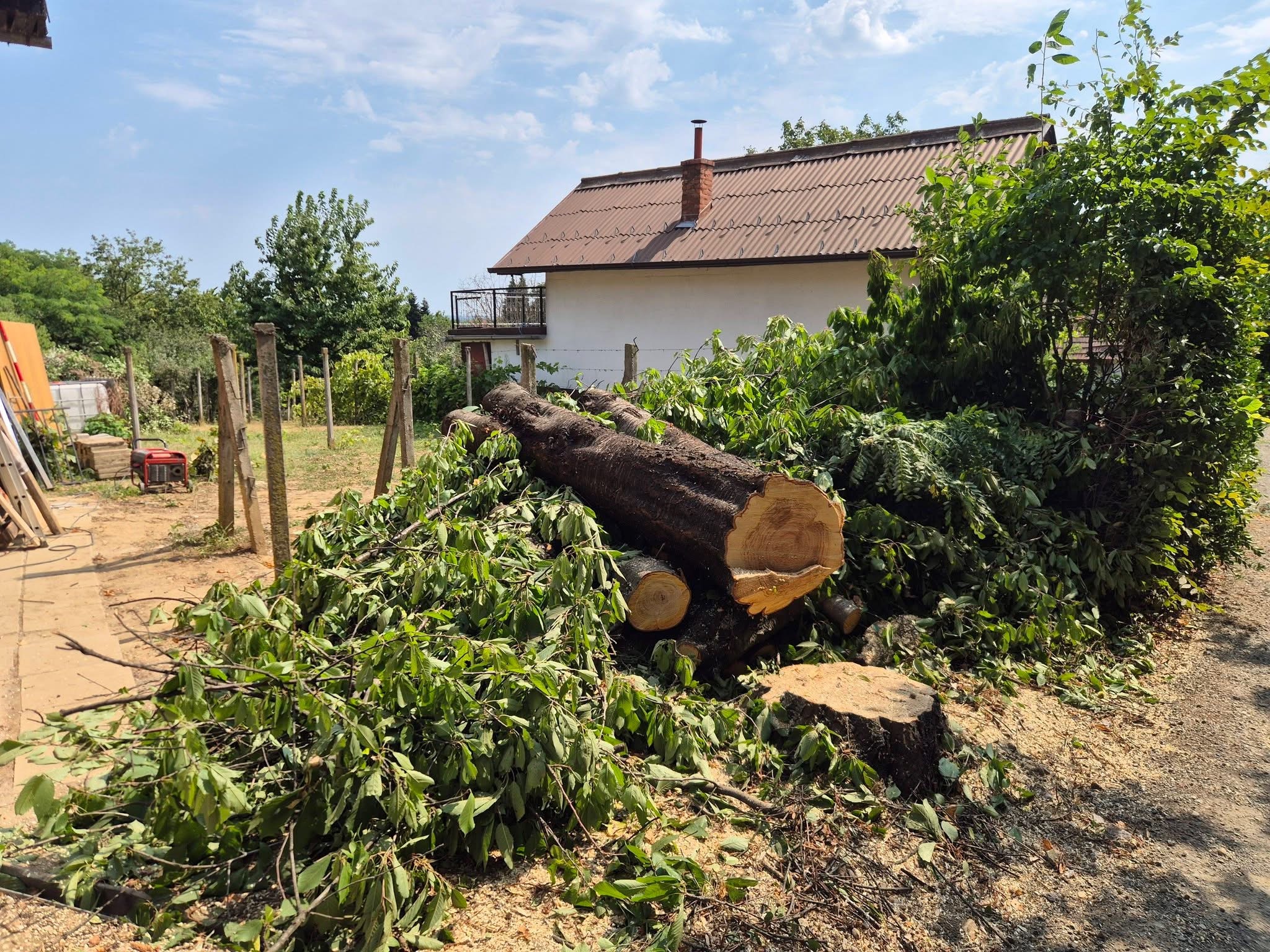 Rušenje drveća i uređenje — fotografija 6