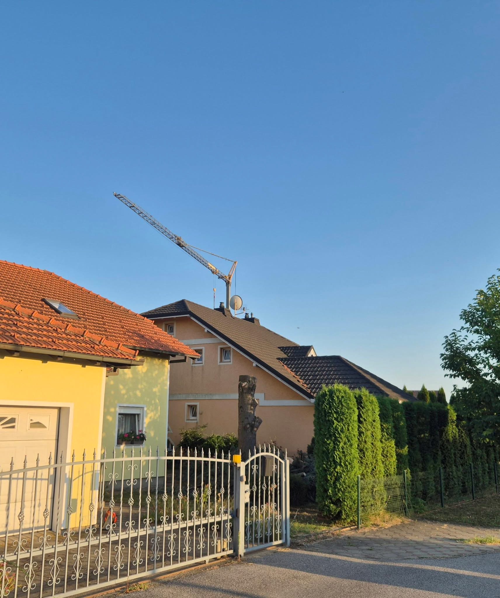 Rušenje drveća i uređenje — fotografija 8