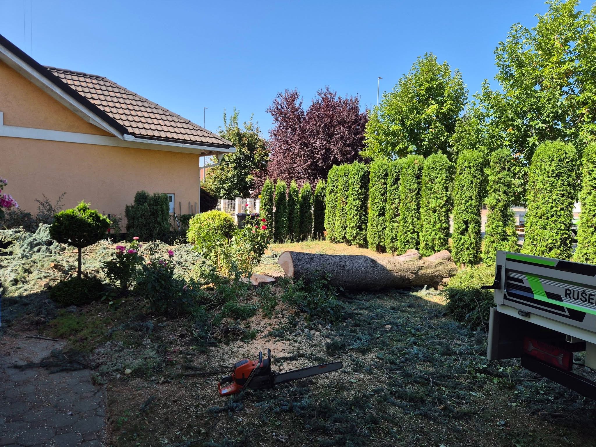 Rušenje drveća i uređenje — fotografija 10