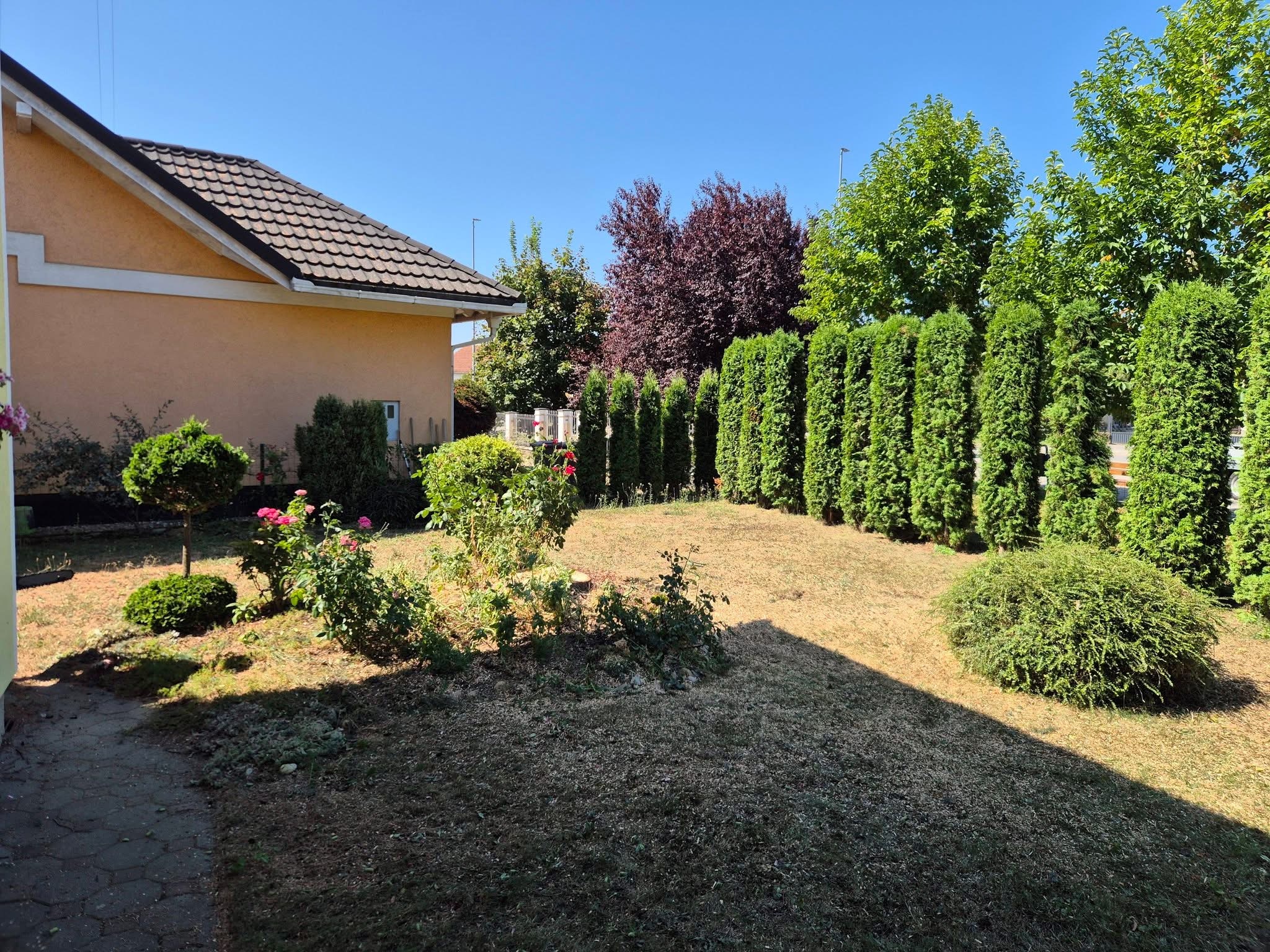 Rušenje drveća i uređenje — fotografija 11
